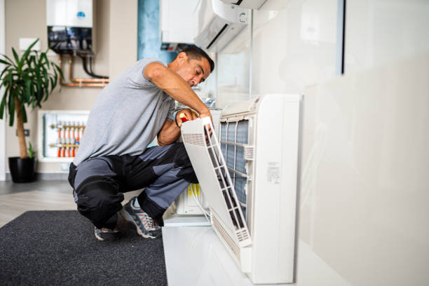 Air Duct Mold Removal in Lemmon, SD